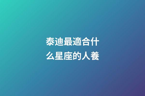 泰迪最適合什么星座的人養-第1張-星座運勢-玄機派