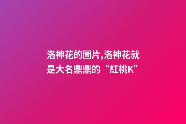 洛神花的圖片,洛神花就是大名鼎鼎的“紅桃K”-第1張-觀點-玄機派