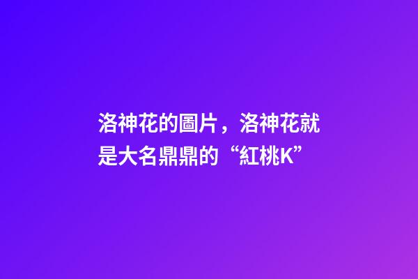 洛神花的圖片，洛神花就是大名鼎鼎的“紅桃K”-第1張-觀點-玄機派