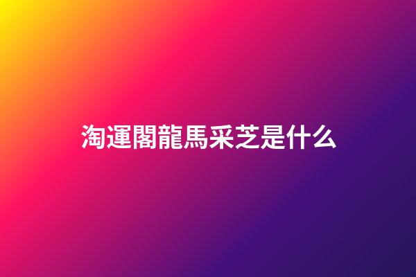 淘運閣龍馬采芝是什么
