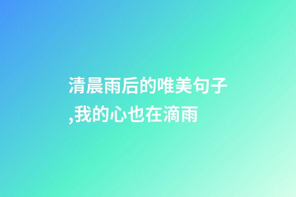清晨雨后的唯美句子,我的心也在滴雨-第1張-觀點-玄機派