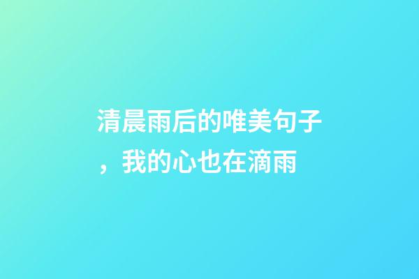 清晨雨后的唯美句子，我的心也在滴雨-第1張-觀點-玄機派