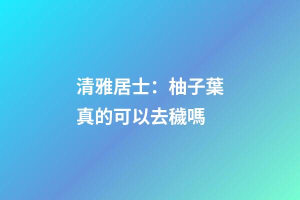 清雅居士：柚子葉真的可以去穢嗎