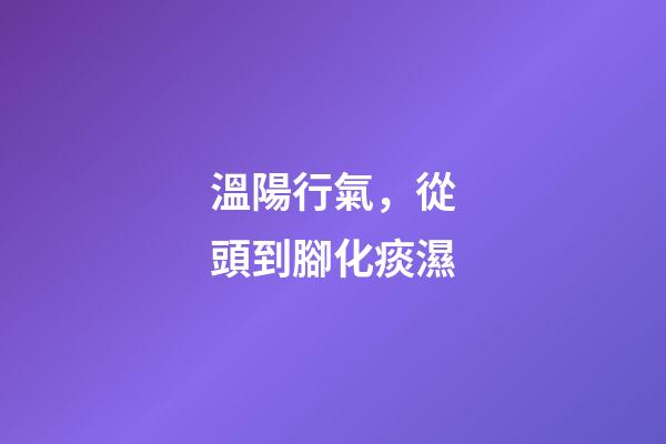溫陽行氣，從頭到腳化痰濕-第1張-觀點-玄機派