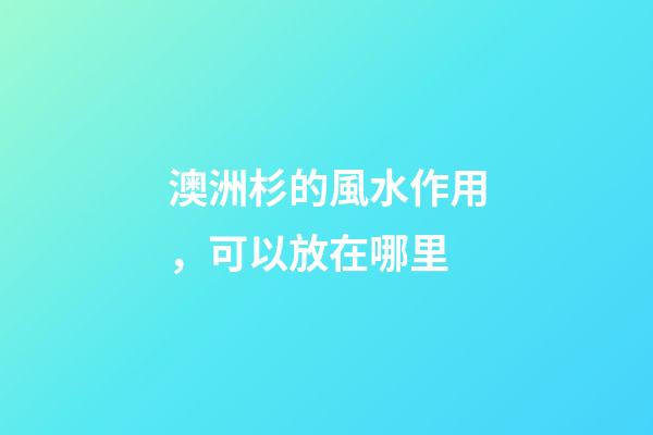 澳洲杉的風水作用，可以放在哪里