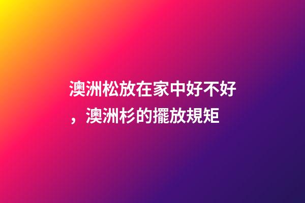 澳洲松放在家中好不好，澳洲杉的擺放規矩