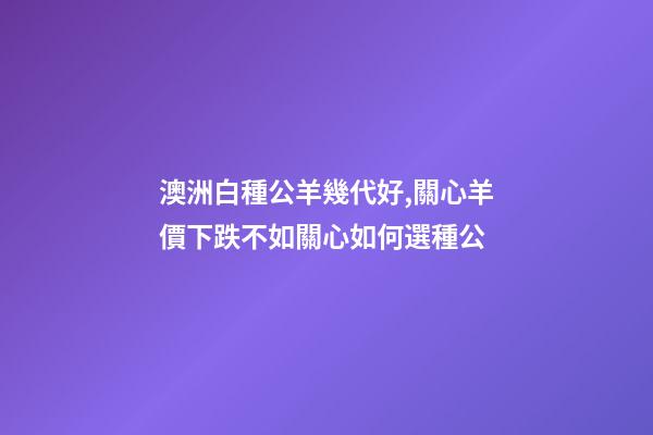 澳洲白種公羊幾代好,關心羊價下跌不如關心如何選種公-第1張-觀點-玄機派