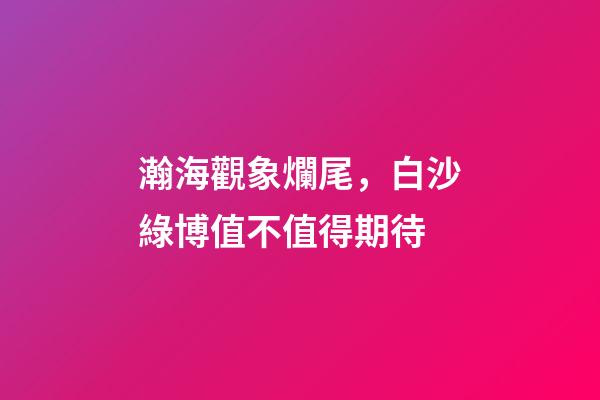 瀚海觀象爛尾，白沙綠博值不值得期待-第1張-觀點(diǎn)-玄機(jī)派