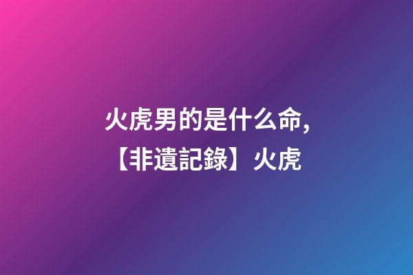 火虎男的是什么命,【非遺記錄】火虎-第1張-觀點-玄機派