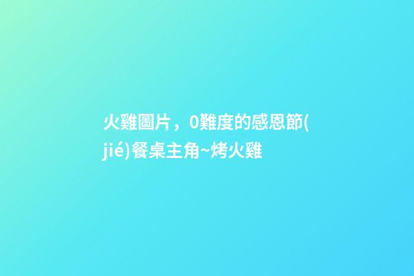 火雞圖片，0難度的感恩節(jié)餐桌主角~烤火雞-第1張-觀點-玄機派