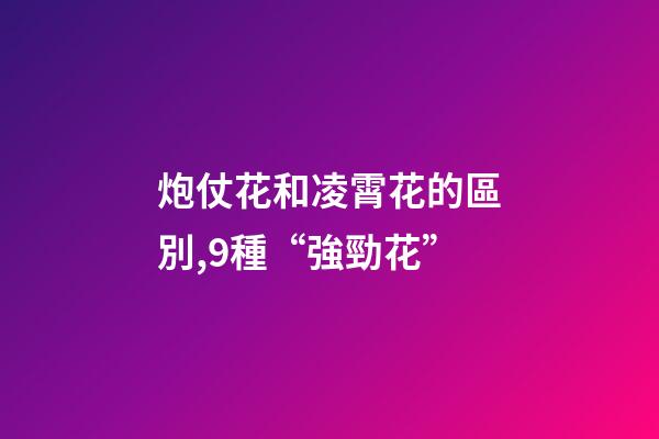 炮仗花和凌霄花的區別,9種“強勁花”-第1張-觀點-玄機派