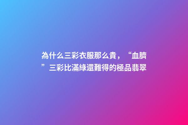 為什么三彩衣服那么貴，“血臍”三彩比滿綠還難得的極品翡翠-第1張-觀點-玄機派