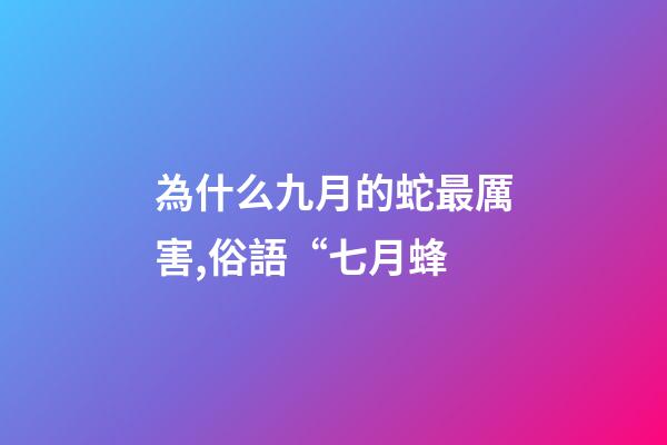為什么九月的蛇最厲害,俗語“七月蜂-第1張-觀點-玄機派