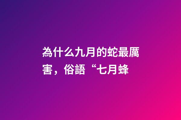 為什么九月的蛇最厲害，俗語“七月蜂-第1張-觀點-玄機派