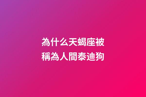 為什么天蝎座被稱為人間泰迪狗-第1張-星座運勢-玄機(jī)派