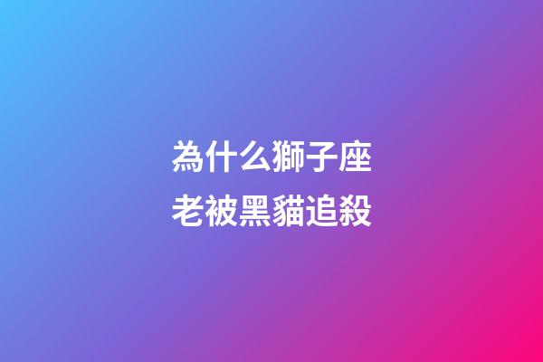 為什么獅子座老被黑貓追殺-第1張-星座運勢-玄機派