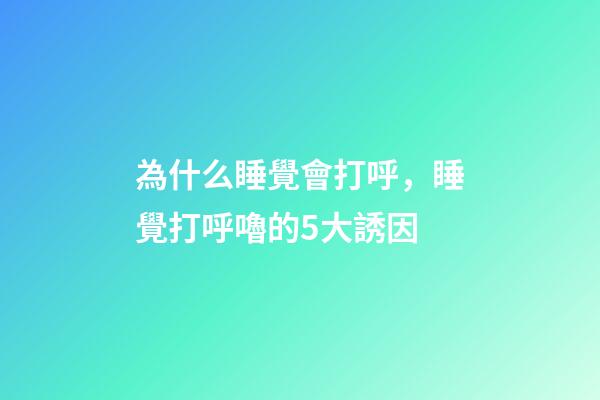 為什么睡覺會打呼，睡覺打呼嚕的5大誘因-第1張-觀點-玄機派