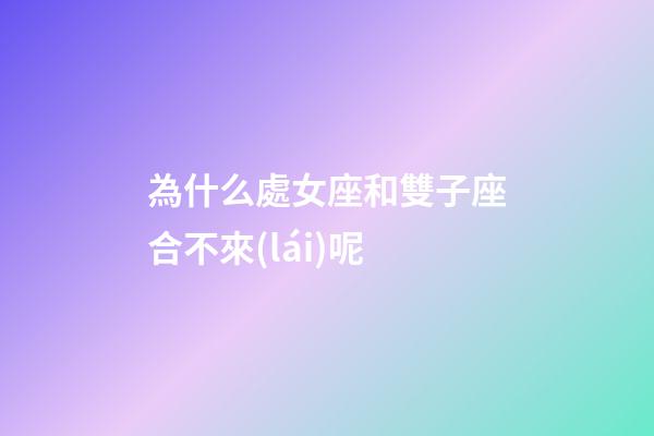 為什么處女座和雙子座合不來(lái)呢-第1張-星座運(yùn)勢(shì)-玄機(jī)派