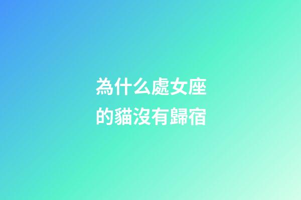 為什么處女座的貓沒有歸宿-第1張-星座運勢-玄機派