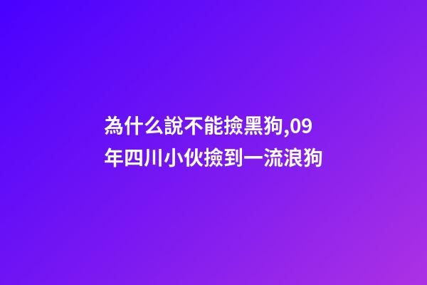 為什么說不能撿黑狗,09年四川小伙撿到一流浪狗-第1張-觀點-玄機派