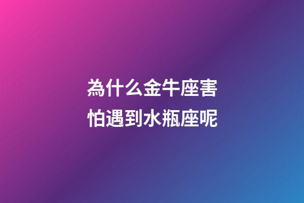為什么金牛座害怕遇到水瓶座呢-第1張-星座運勢-玄機派