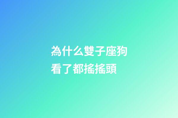 為什么雙子座狗看了都搖搖頭-第1張-星座運勢-玄機派