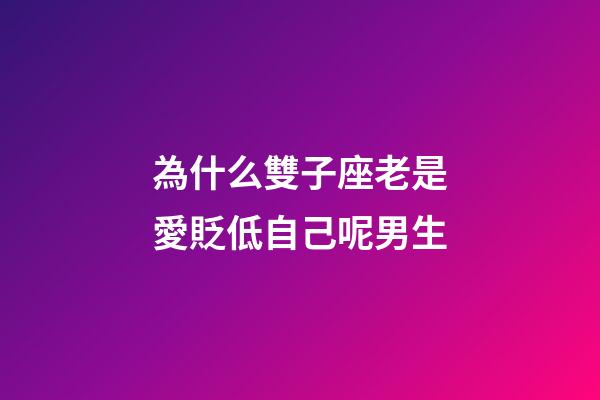 為什么雙子座老是愛貶低自己呢男生-第1張-星座運勢-玄機派