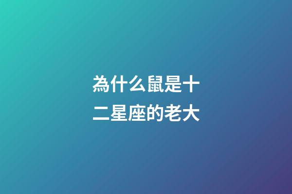 為什么鼠是十二星座的老大-第1張-星座運勢-玄機派