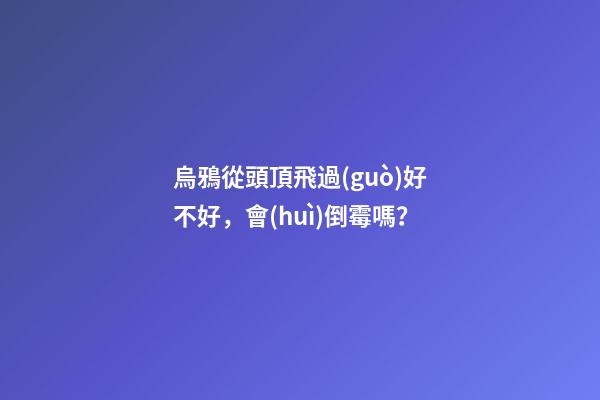 烏鴉從頭頂飛過(guò)好不好，會(huì)倒霉嗎？
