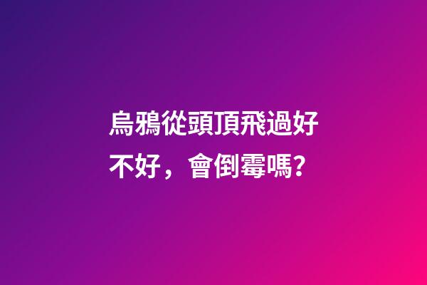 烏鴉從頭頂飛過好不好，會倒霉嗎？
