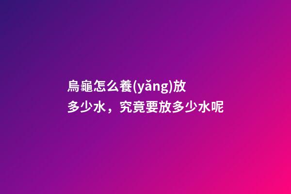 烏龜怎么養(yǎng)放多少水，究竟要放多少水呢-第1張-觀點-玄機(jī)派