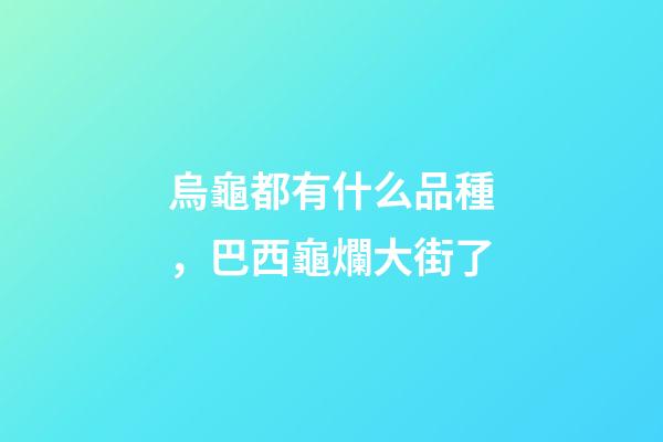 烏龜都有什么品種，巴西龜爛大街了-第1張-觀(guān)點(diǎn)-玄機(jī)派