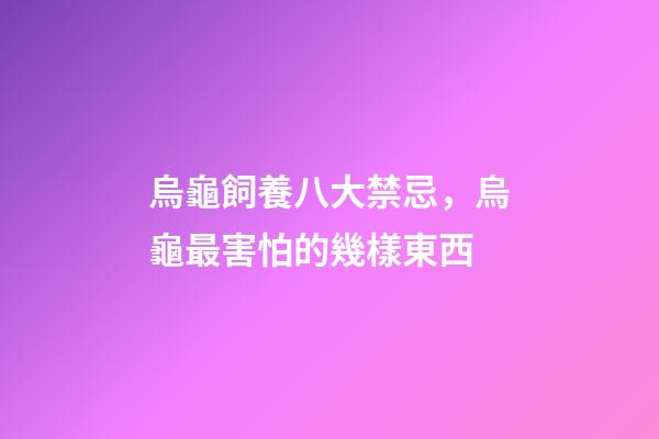 烏龜飼養八大禁忌，烏龜最害怕的幾樣東西-第1張-觀點-玄機派