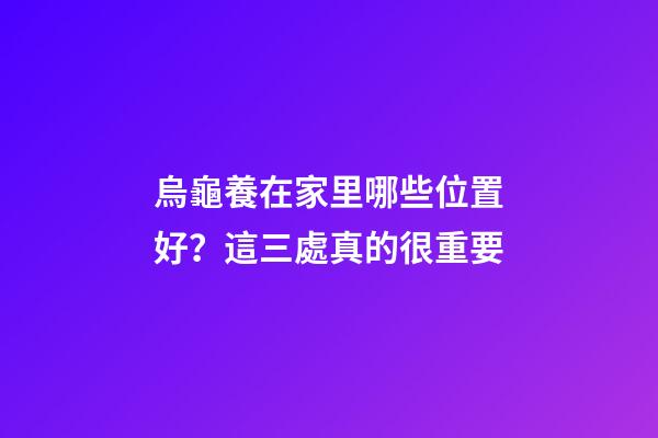 烏龜養在家里哪些位置好？這三處真的很重要