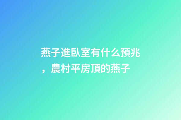 燕子進臥室有什么預兆，農村平房頂的燕子-第1張-觀點-玄機派