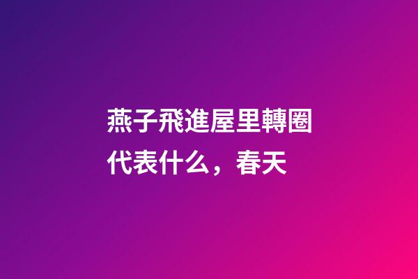 燕子飛進屋里轉圈代表什么，春天-第1張-觀點-玄機派