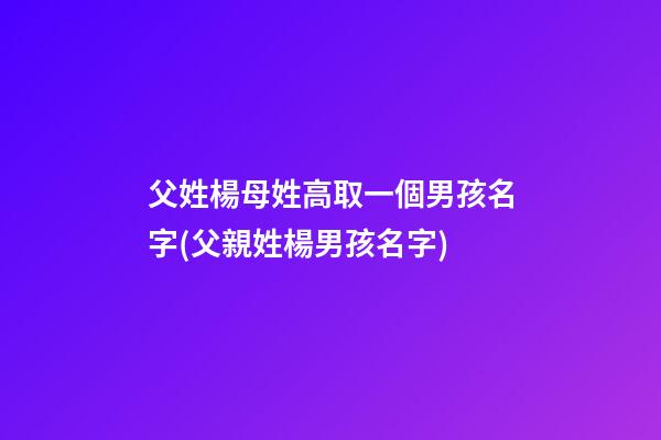 父姓楊母姓高取一個男孩名字(父親姓楊男孩名字)