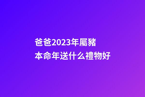 爸爸2023年屬豬本命年送什么禮物好