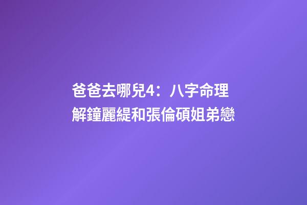 爸爸去哪兒4：八字命理解鐘麗緹和張倫碩姐弟戀