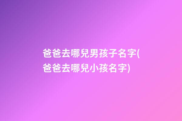 爸爸去哪兒男孩子名字(爸爸去哪兒小孩名字)