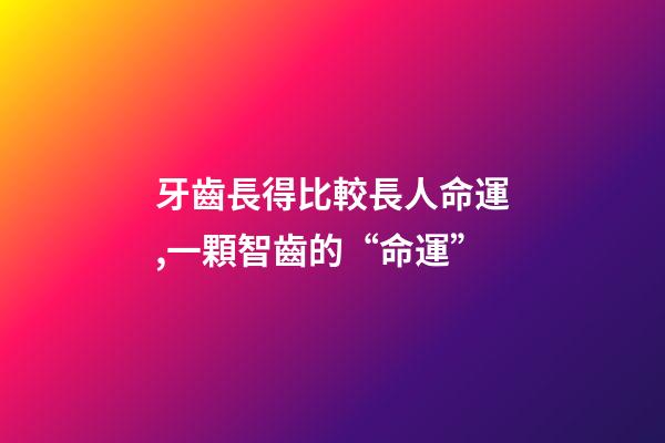 牙齒長得比較長人命運,一顆智齒的“命運”-第1張-觀點-玄機派