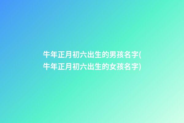 牛年正月初六出生的男孩名字(牛年正月初六出生的女孩名字)