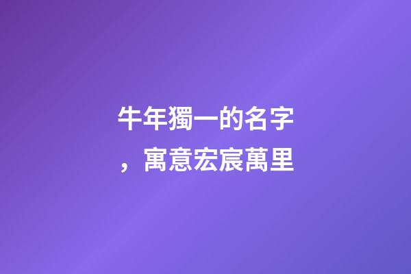 牛年獨一的名字，寓意宏宸萬里