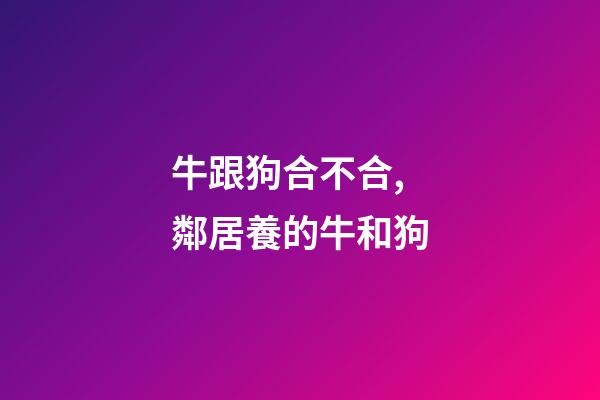 牛跟狗合不合,鄰居養的牛和狗-第1張-觀點-玄機派
