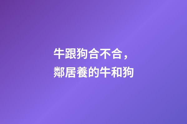 牛跟狗合不合，鄰居養的牛和狗-第1張-觀點-玄機派