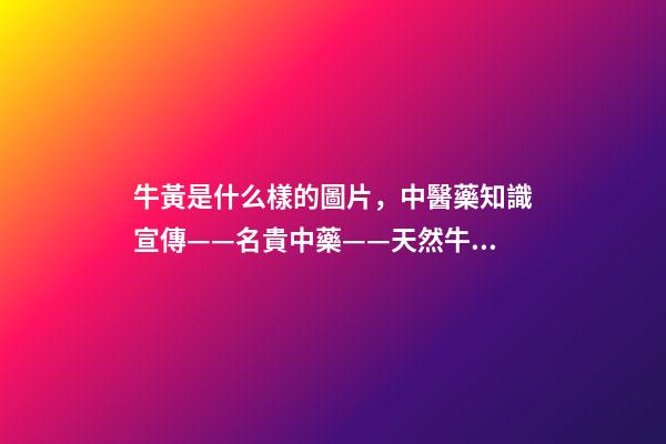 牛黃是什么樣的圖片，中醫藥知識宣傳——名貴中藥——天然牛黃-第1張-觀點-玄機派