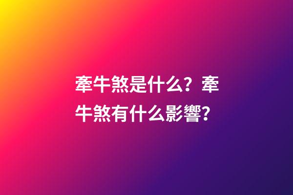 牽牛煞是什么？牽牛煞有什么影響？