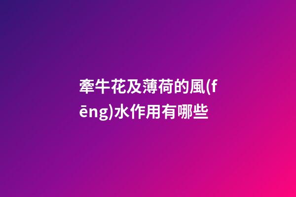 牽牛花及薄荷的風(fēng)水作用有哪些?
