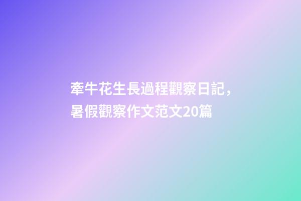 牽牛花生長過程觀察日記，暑假觀察作文范文20篇-第1張-觀點-玄機派