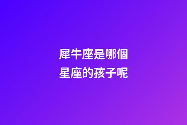 犀牛座是哪個星座的孩子呢-第1張-星座運勢-玄機派